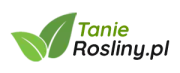 Tanie Rośliny - logo
