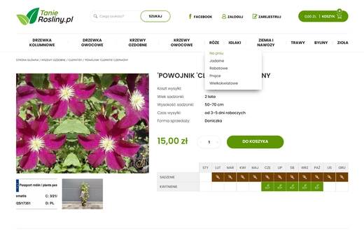 Sklep internetowy - Tanie Rośliny - zdjęcie 2