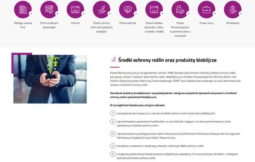 Strona internetowa - Legal Alliance - zdjęcie 3
