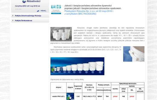 Strona internetowa - Plastsystem - zdjęcie 4