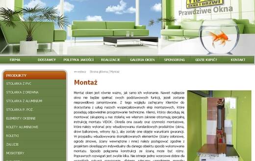 Strona internetowa - Vidok - zdjęcie 2
