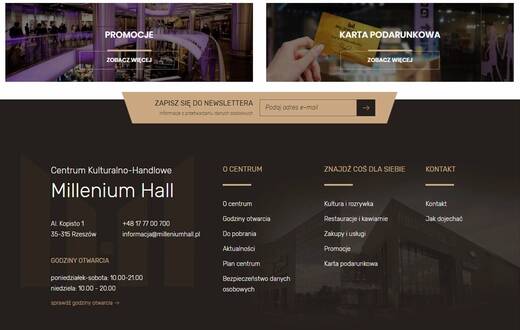 Strona internetowa - Millenium Hall - zdjęcie 1