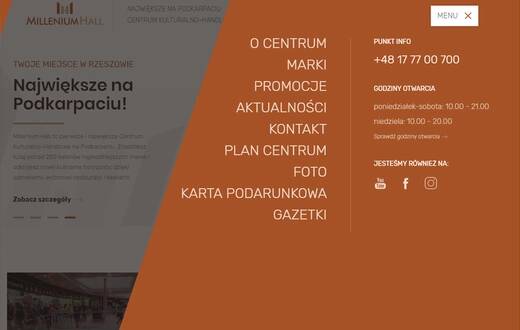Strona internetowa - Millenium Hall - zdjęcie 7