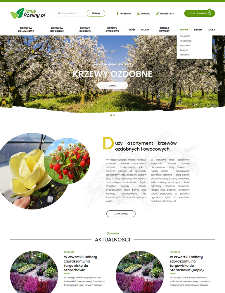 Sklep internetowy - Tanie Rośliny - widok desktop pc